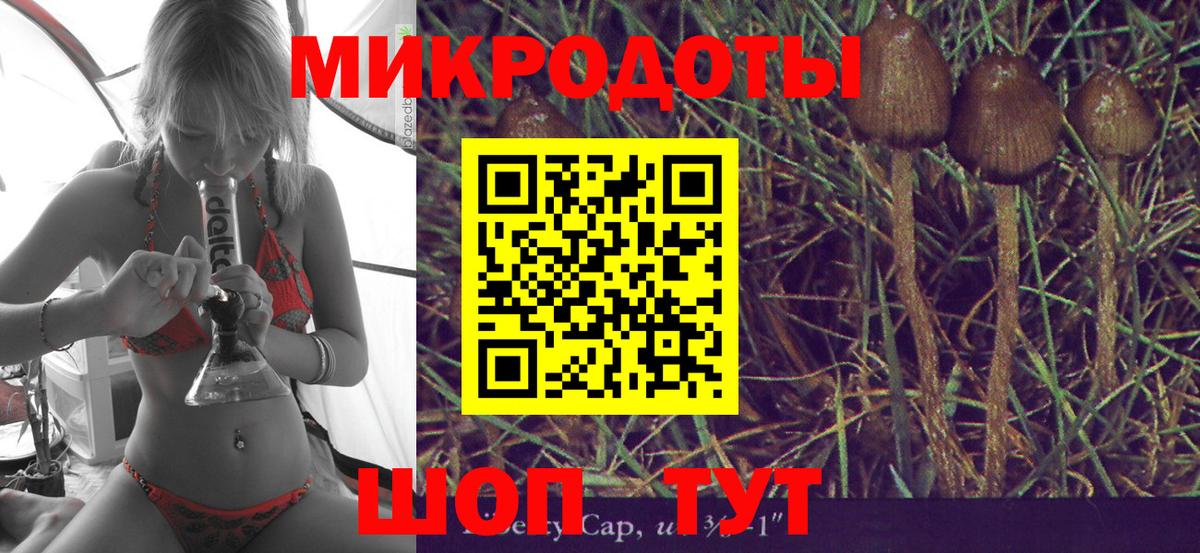 Галлюциногенные грибы ЛСД Гай