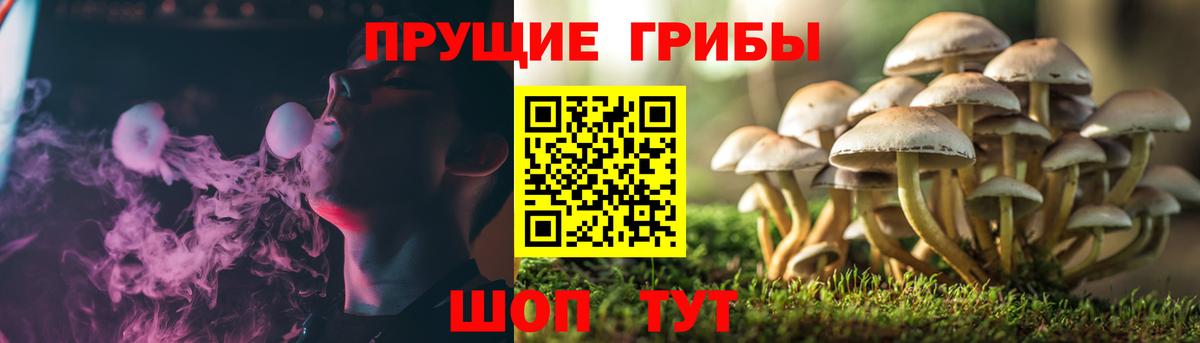 Гай  Псилоцибиновые грибы Magic Shrooms  Вход с VPN 